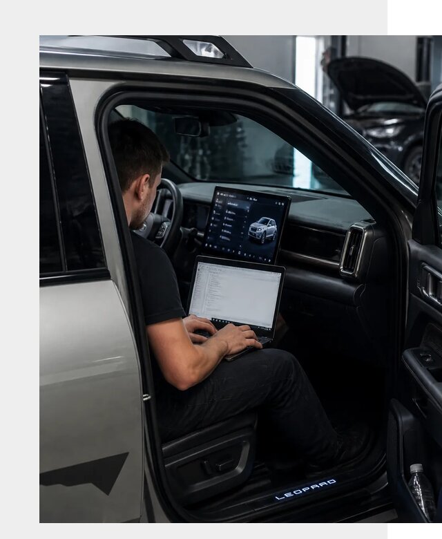 Русификация BYD Leopard 3 в Новоуральске по цене от 20314 р. | ФастМобиль-Нву